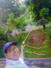 Take care your nanomedicine garden
